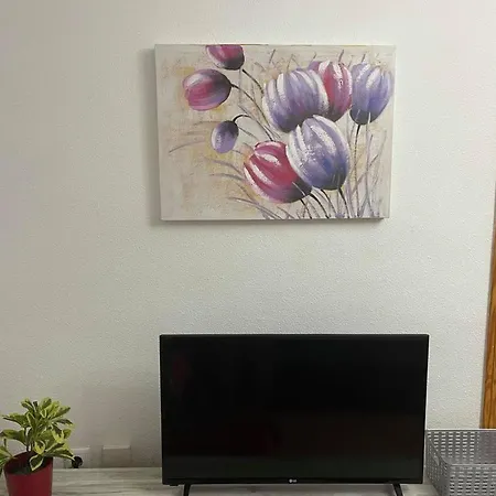 Carmen Apartamento *